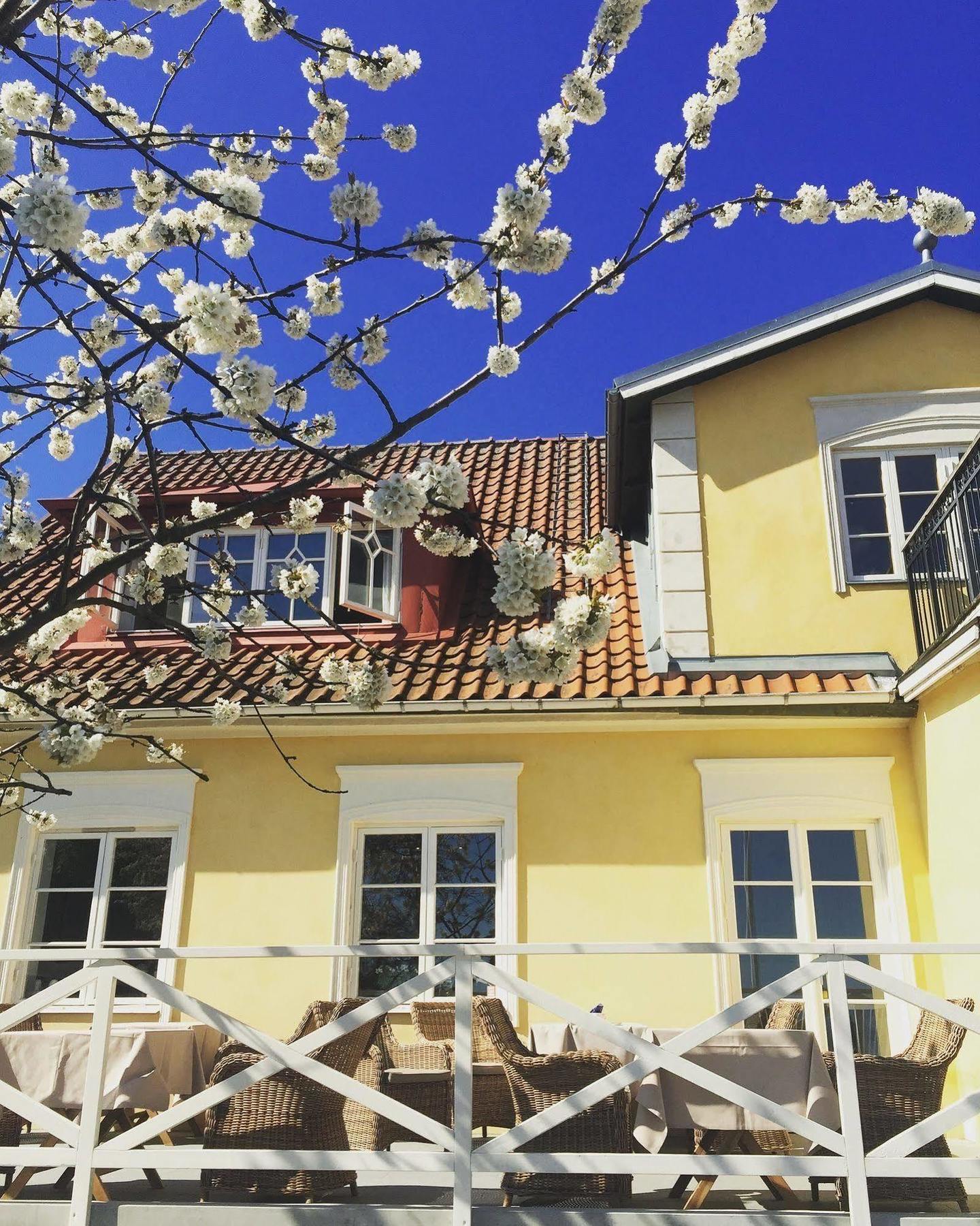 Kivikstrand Badhotell Εξωτερικό φωτογραφία